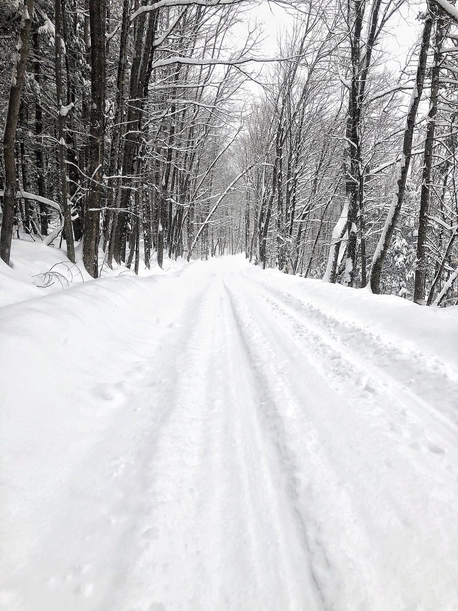 FatToadFarmVT's tweet photo. Another snow day in Vermont! 
#vermont https://t.co/ozrPhxhz5u