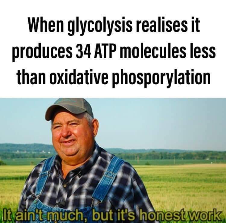 shuhanhemd's tweet image. I know it&apos;s goofy, but I love these low-hanging biochemistry memes :D
#biochemistry #SciComm #sciencehumor