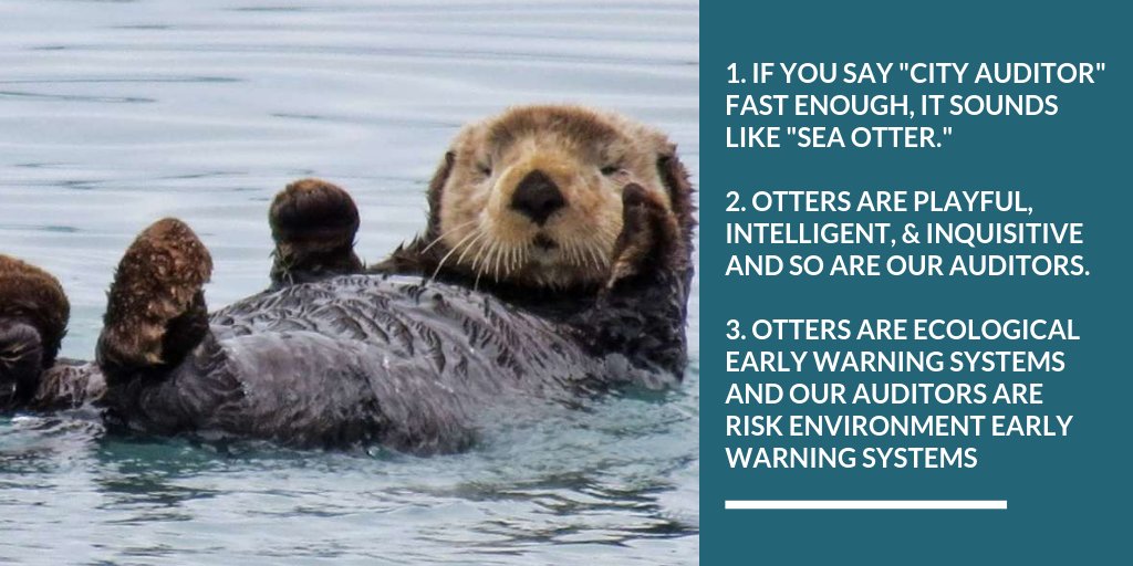 AustinAuditor's tweet photo. Things you didn't think you needed to know about our office but are glad you did:
#DidYouKnow our unofficial office mascot is the (sea) otter. Read 3 reason why below. ππΎ
#WednesdayWisdom #KeepAuditingWeird https://t.co/2B3CDJgEKK