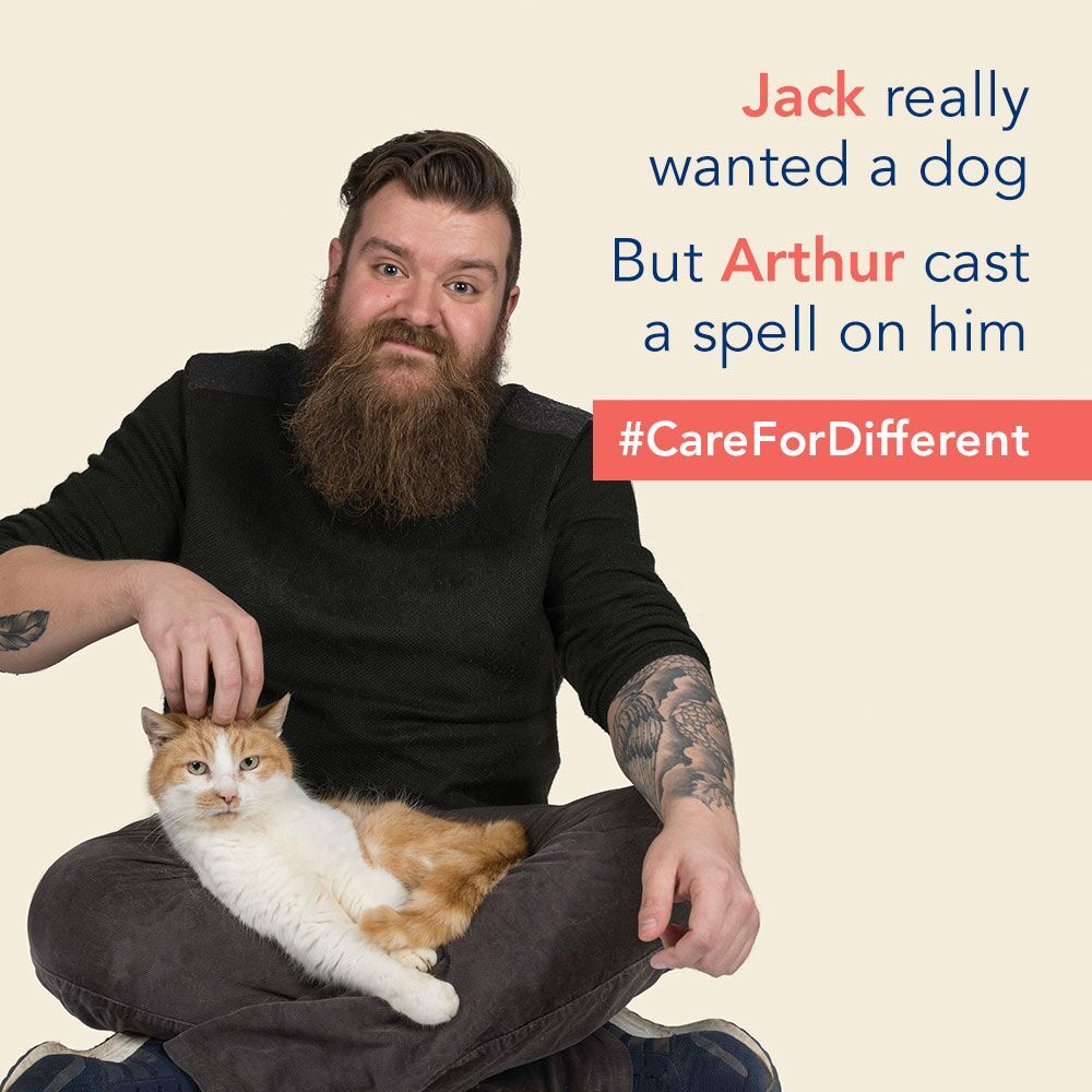RSPCADerby's tweet photo. Visit us today on Abbey Street and find yourself a new friend. 

#CareForDifferent #RSPCADerby #RescueRehabilitateRehome https://t.co/Po95tZgly1