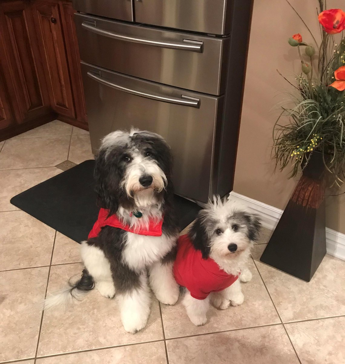 CBGeneralProp's tweet image. We can stay warm in our #NEWHOME bought though #ColdwellBanker General Properties! Call them #TODAY to Find One for You!  @816-364-1000