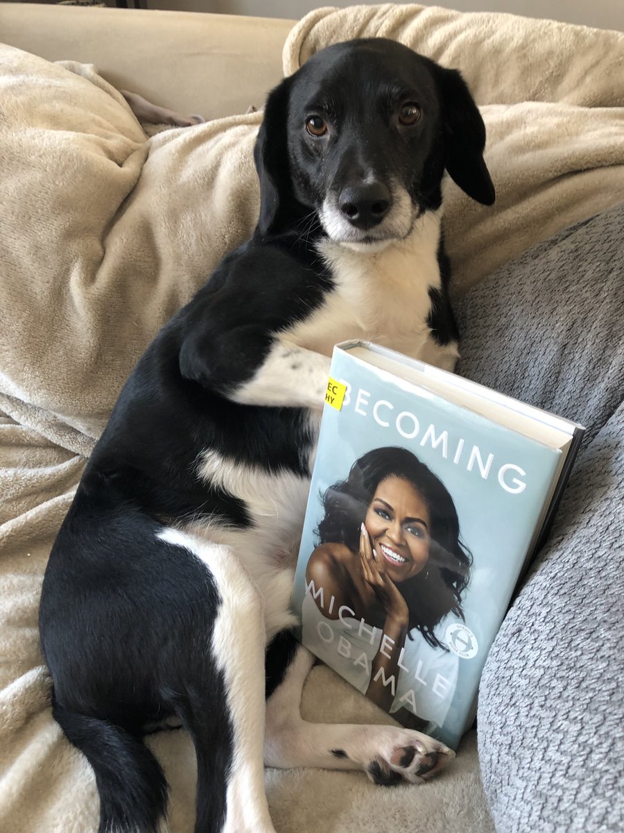 Buddy has his cold day reading essentials...do you? It’s a perfect day to open up those new library books!🐶📚❤️