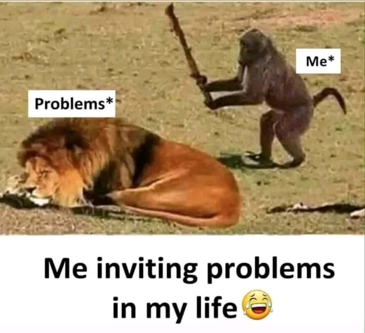 This kinda motivated positivity in my moods today and got me laughing. Some problems should be left to sleep