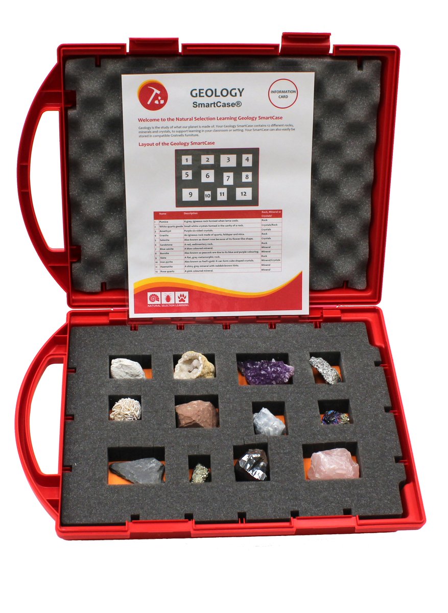 Grat_Storage's tweet image. The #Gratnells #SmartCase offers all the storage benefits of a Gratnells tray and it's mobile for #storage on the go! #StorageSolutions ow.ly/d/8af0