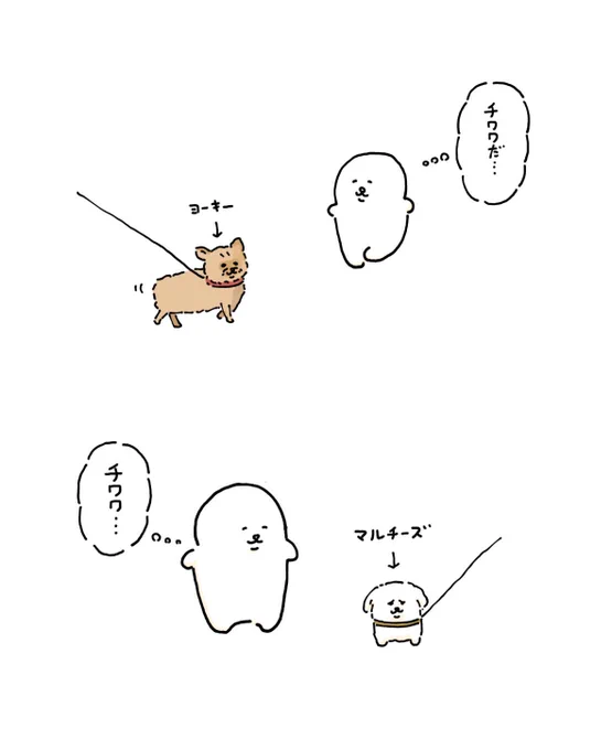 小型犬を見たときに思うこと 