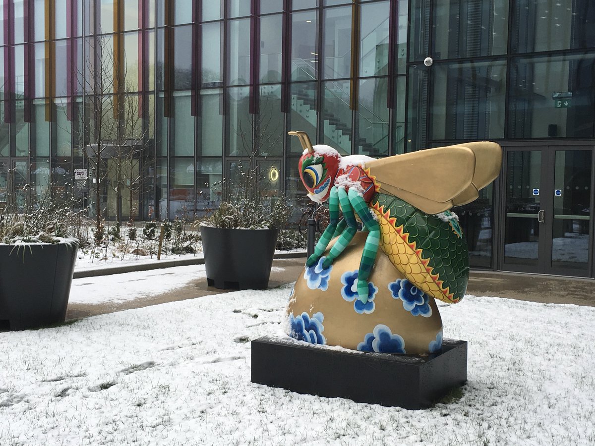 AllianceMBS's tweet image. #Snow in #Manchester? Beejing is buzzing to hear the news. 🐝We would love to see your snowy pictures from around campus. Share your pictures by using the hashtag #yournewambs ⛄️☃️❄️