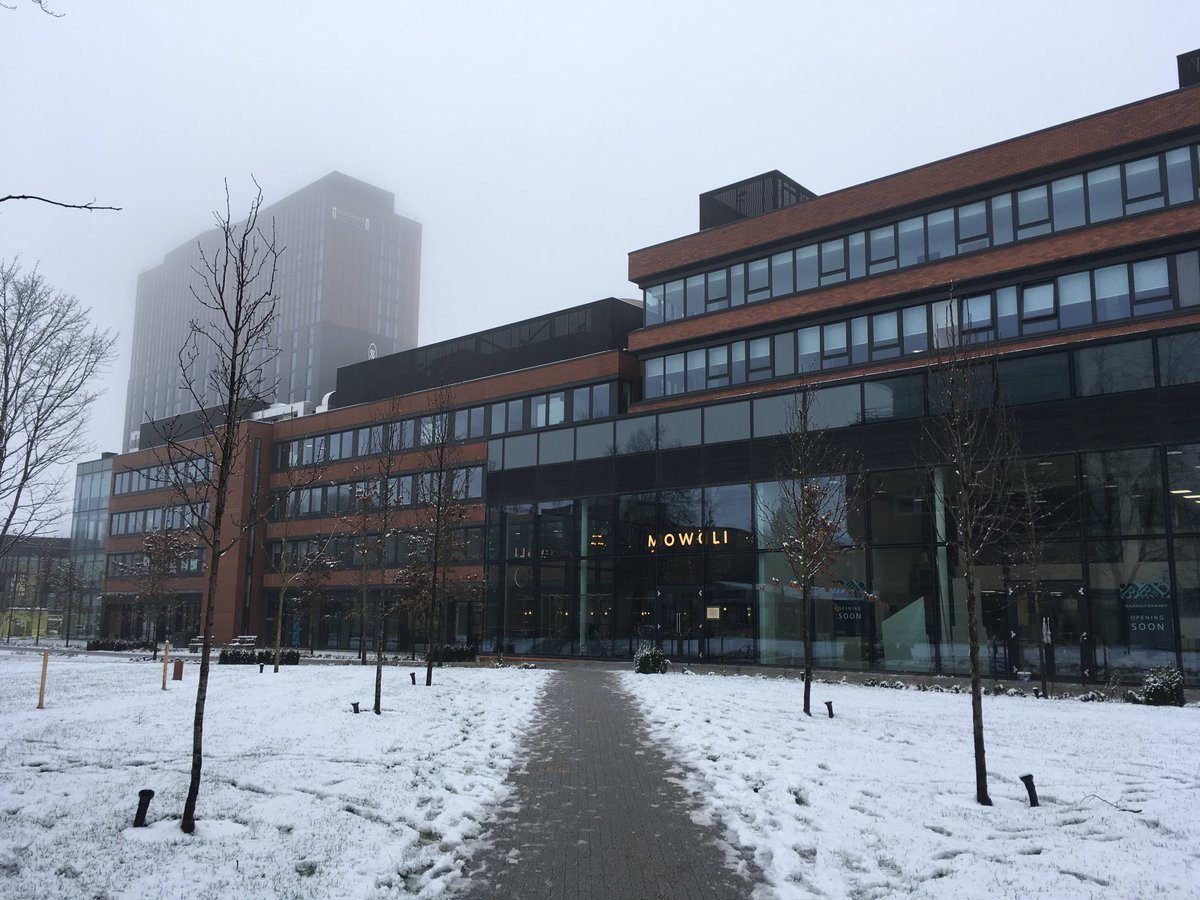 AllianceMBS's tweet image. #Snow in #Manchester? Beejing is buzzing to hear the news. 🐝We would love to see your snowy pictures from around campus. Share your pictures by using the hashtag #yournewambs ⛄️☃️❄️
