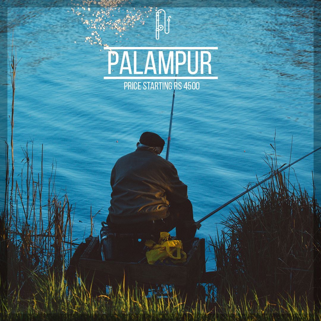 FlbResorts's tweet photo. #FLBresorts #Palampur Visit https://t.co/wJKbsQBw20 #LivetheLocal #TravelQuotes #Travel #IncredibleIndia #Solo #travelphotography #traveltheworld #traveldiaries #travellife #photography #ttot #photo #nature #vacation #photooftheday #adventure #landscape #instatravel #naturelovers https://t.co/8TklBpDhV8