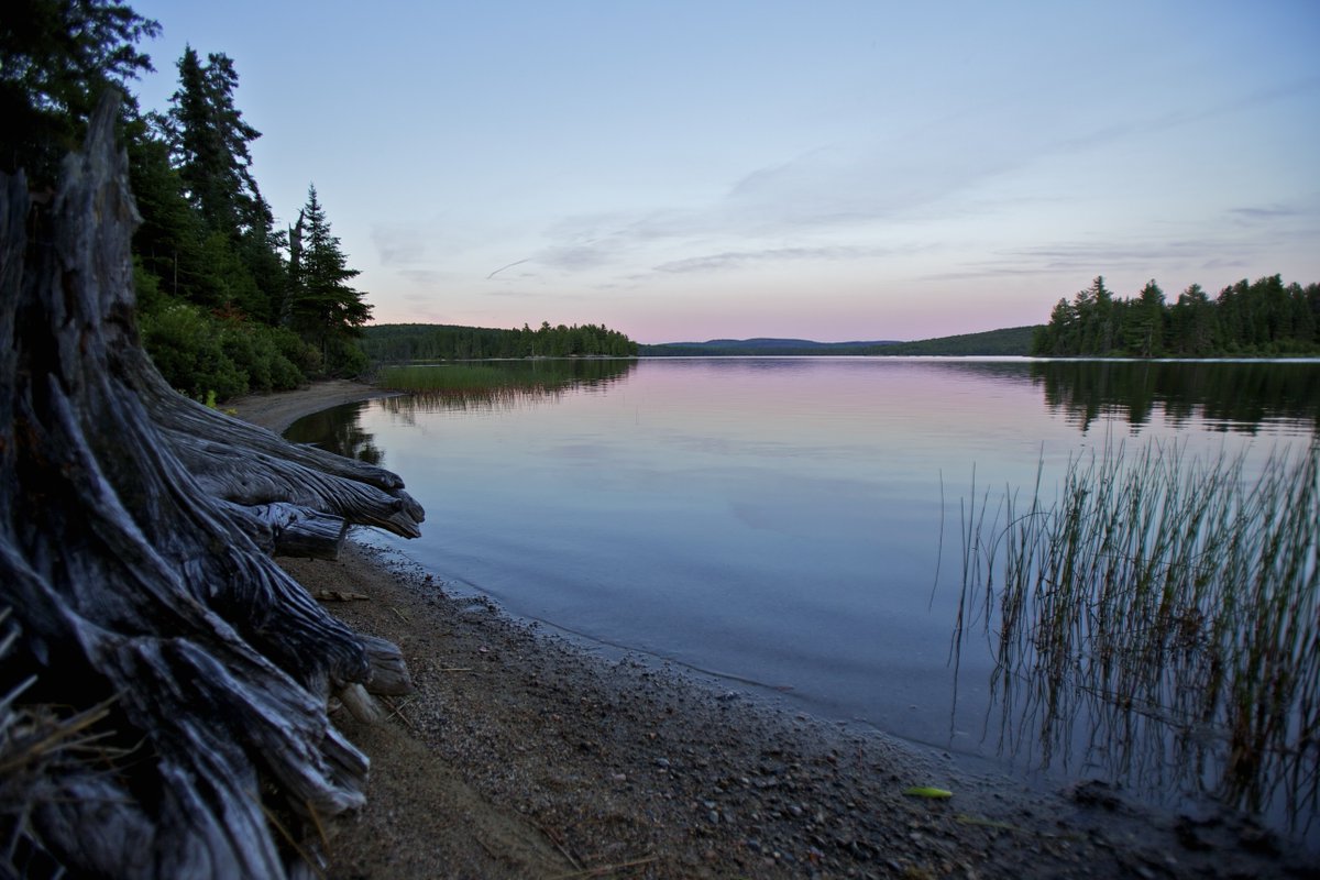 Mental illness affects one in five Canadians in any given year. 

For #BellLetsTalk Day, let’s talk about what some Vitamin N (nature) can do for your #mentalhealth: bit.ly/2ybVEO4

#HPHP