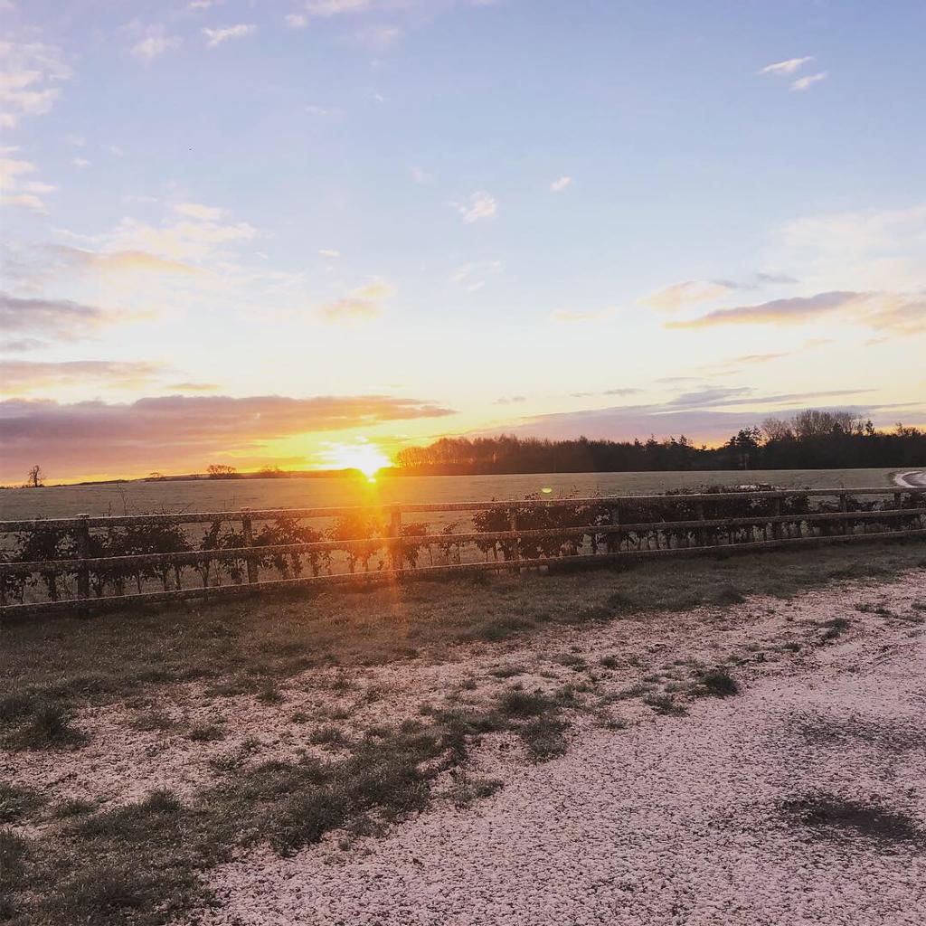 LLMteam's tweet photo. What a difference ten minutes can make! Joe out on farm doing a calf routine this morning #vetteching
Be careful on the roads! https://t.co/nZTQYSvfKs