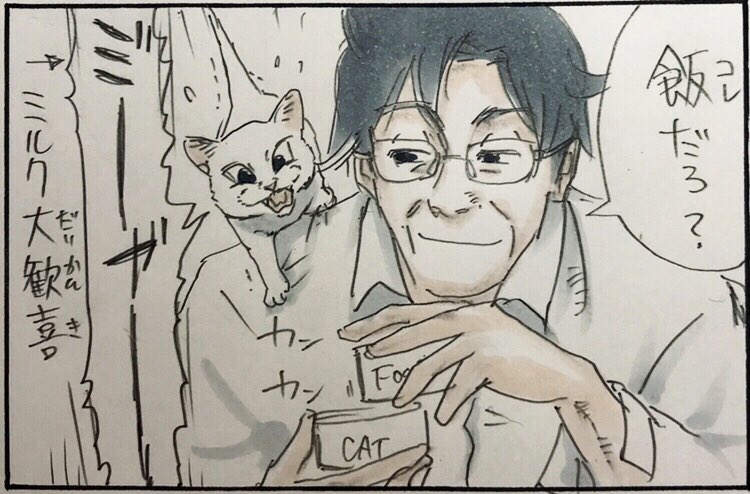 『休日と猫』 