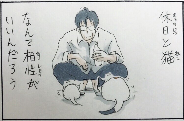 『休日と猫』 