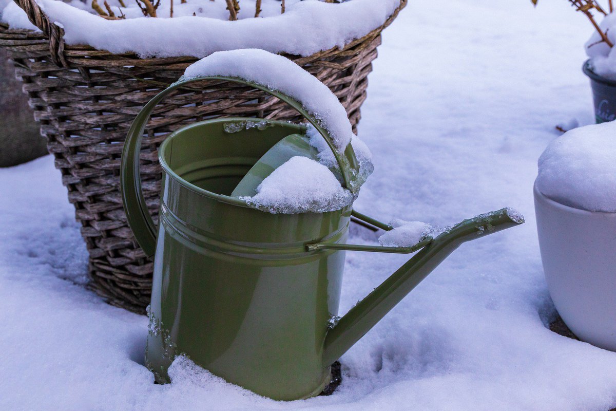 allMowerpartsuk's tweet photo. The #snow has hit a little earlier than last year and we have well and truly learnt some #lessonsof2018 when it comes to protecting your #Spring blooms. Check out our tips on our latest blog... https://t.co/2Xh6WRQVr3 
Oh and top tip is #extralayers https://t.co/OMrXzkxX6I