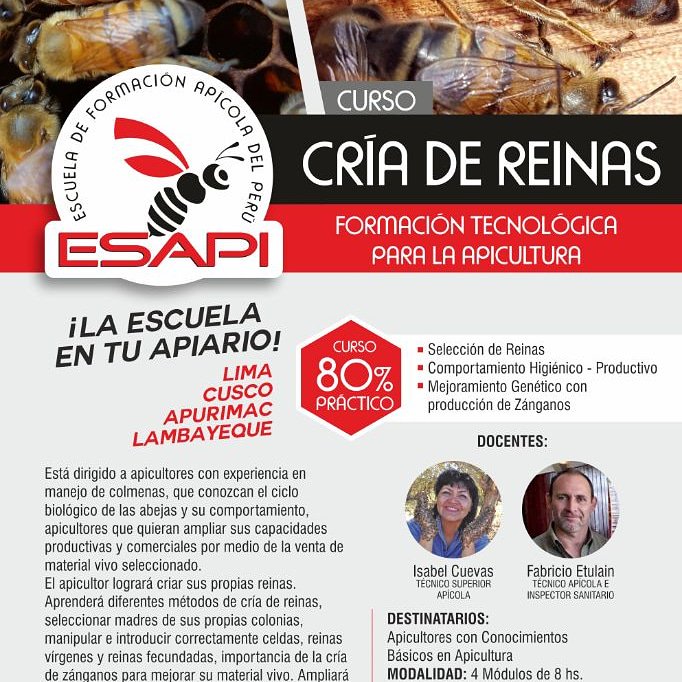 sosABEJAS's tweet photo. Faltan días para el comienzo del curso Cría de Reinas.. Peru. https://t.co/vSogUkW8zy