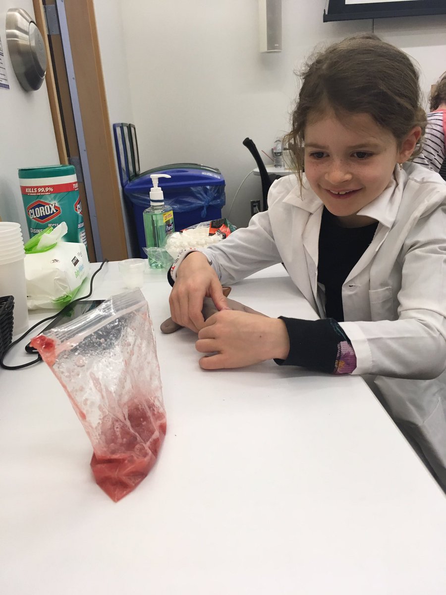 ChildLifeMorgan's tweet photo. The #childlife #program @rb_research explored #DNA in a special activity extracting DNA from strawberries 🍓 it was Amazing!! #Science #genetics #play #explore #retinoblastoma https://t.co/fpgFFMWq0h