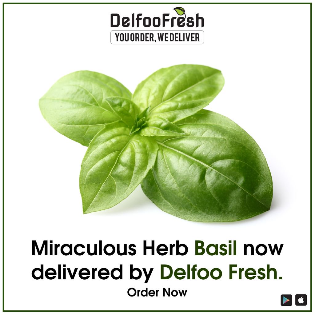 delfoofresh's tweet photo. Miraculous Herb Basil now delivered by Delfoo Fresh.
Order Now: https://t.co/VJGP2fDlLB
#FreshBasil #DelfooFresh https://t.co/1zd2pp2Go9