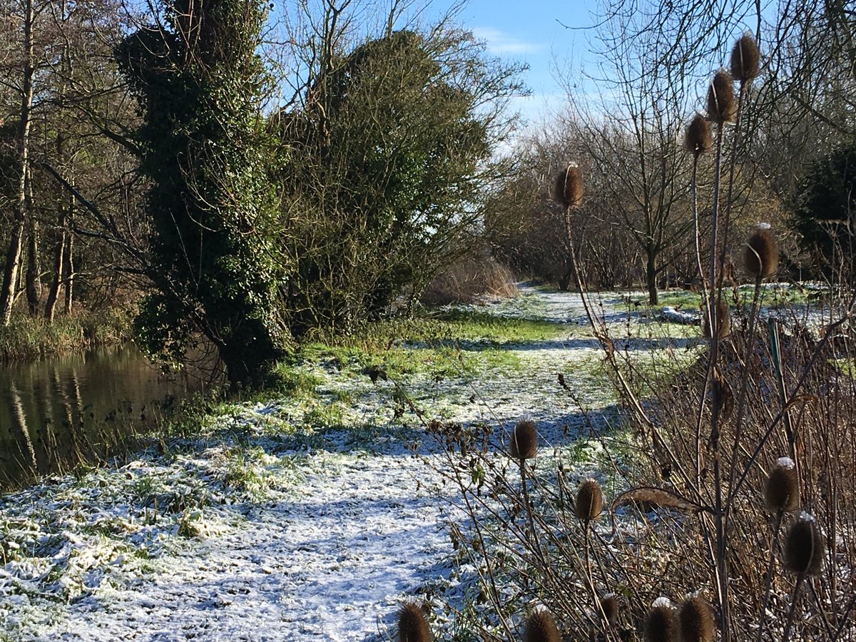 ClareWalks's tweet photo. A sparkling walk along the R Stour &amp; in Clare Country Park this morning. ❤️ walking in &amp; around Clare! ⁦@Visit_Clare⁩ ⁦@wooltowns⁩ ⁦@DiscoverSuffolk⁩ ⁦@RamblersGB⁩ ⁦@BlueDogClare⁩ ⁦@claregolfcourse⁩ ⁦@lindadabbs1⁩ https://t.co/uuG7gasPUQ
