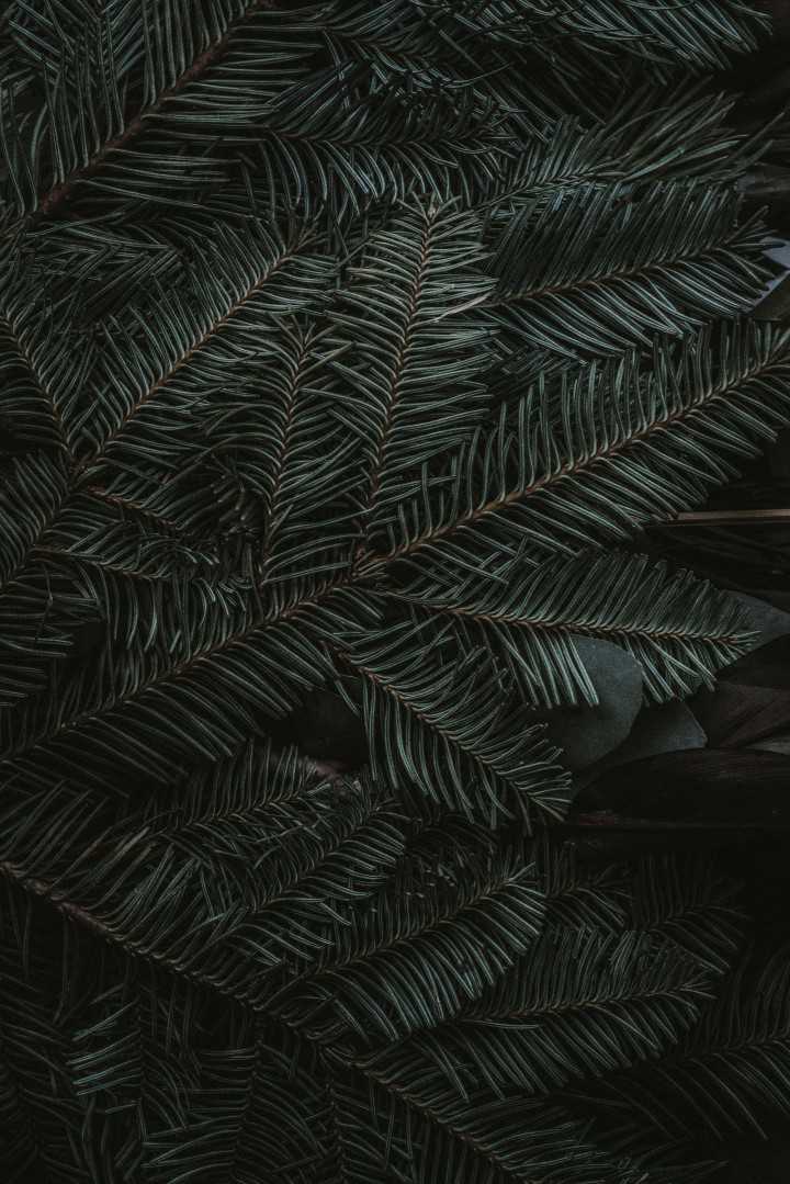 Hd Wallpapers On Twitter Beautiful Image By Annie Spratt Hd Wallpapers On Twitter Beautiful Image By Annie Spratt Images, Photos, Reviews