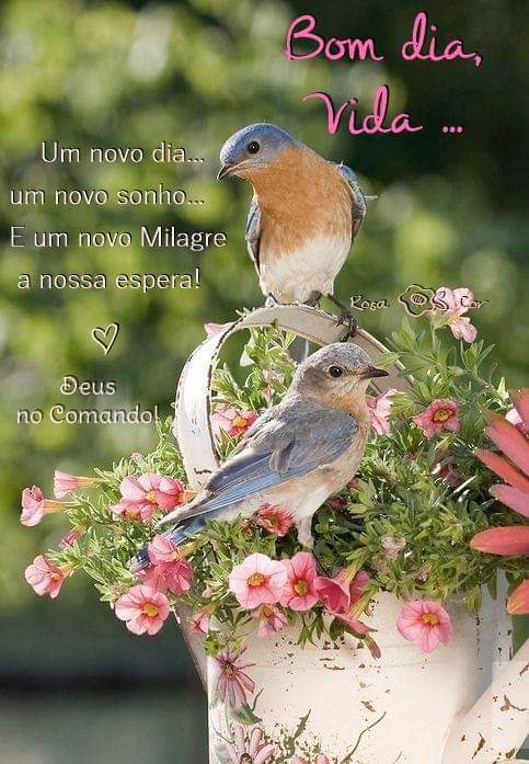 Twitter 上的 Eder Barbosa: Twitter 上的 Eder Barbosa: