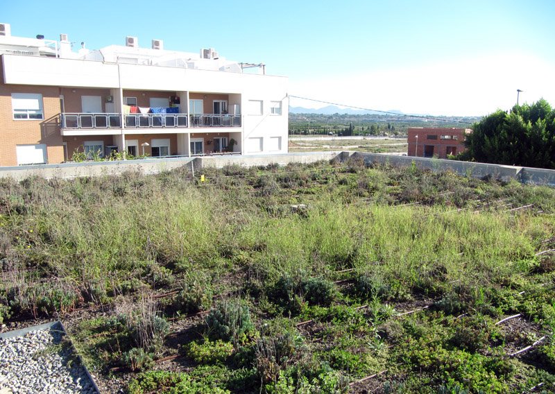 SkyGardenUK's tweet image. Is your project constrained by budget, roof pitch, aspect loading weights, access or maintenance, Sky Garden can offer a range of flexible solutions to suit your living roof project?
Contact our team today for a quote enquiries@sky-garden.co.uk
#greenroofs #complexprojects