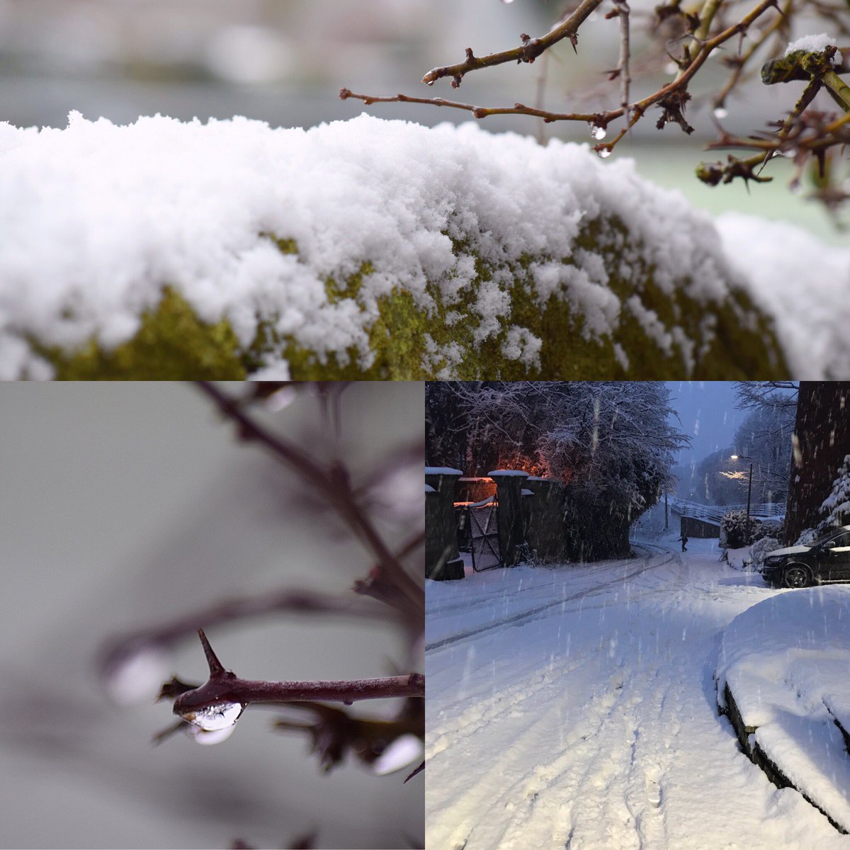 FireStallion666's tweet photo. Some early ones and some later when the snow is melting #winterwatch #cheshire #snowincheshire #wintryscenes @RealCheshireSet  #firestallionphotography https://t.co/4a7SYNKio7