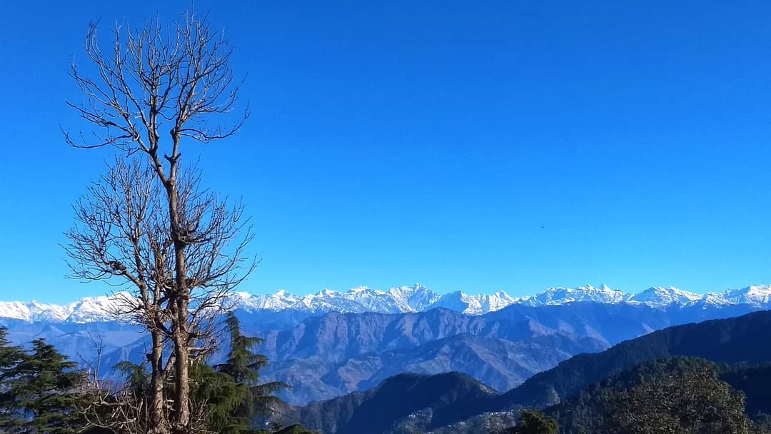motorolaindia's tweet photo. Get ready to give us chills with your #motography, because the theme for the week is Winter Wonders, on popular demand! Awaiting some brrrilliant #motographs to make it to our hall of fame! https://t.co/jQ83Hv5qrJ https://t.co/zFawsuh4LL