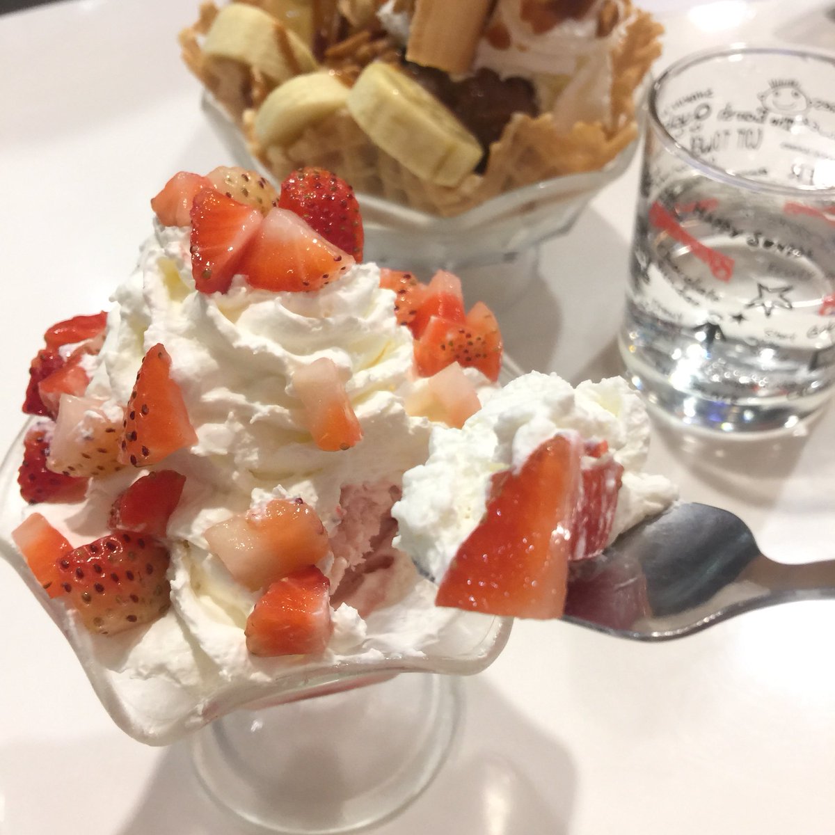 рџ Bluerabbitрџђ Padeyhopps Twitter