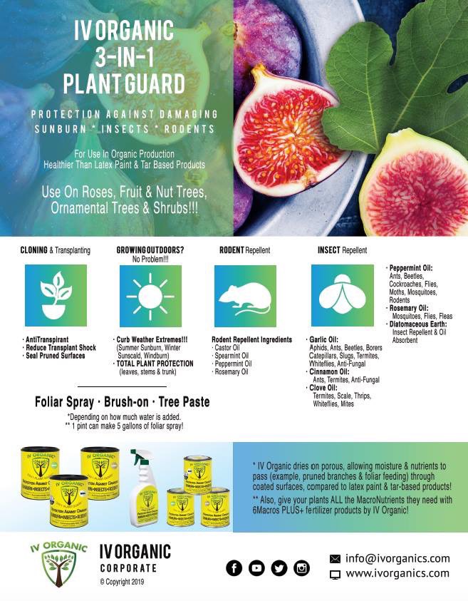 Enter for some free cuttings.
#IVOrganic