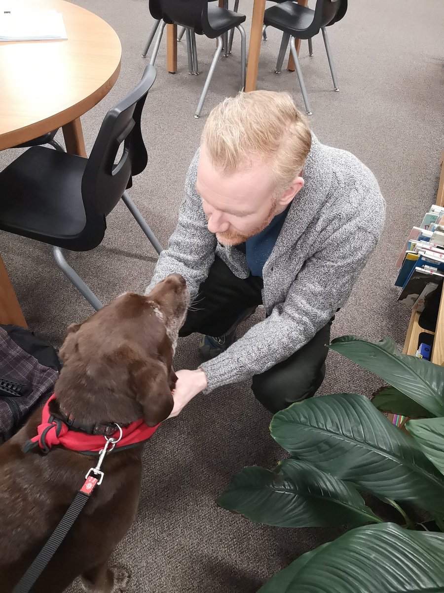 BCentralLibrary's tweet photo. We were so happy that Charlie and Wilhe were able to come out this morning for our last exam day! @BCentralSchool @JanetJJardine @stjohnambulance #BarkBreak #wellness https://t.co/gRDWZvoIn4