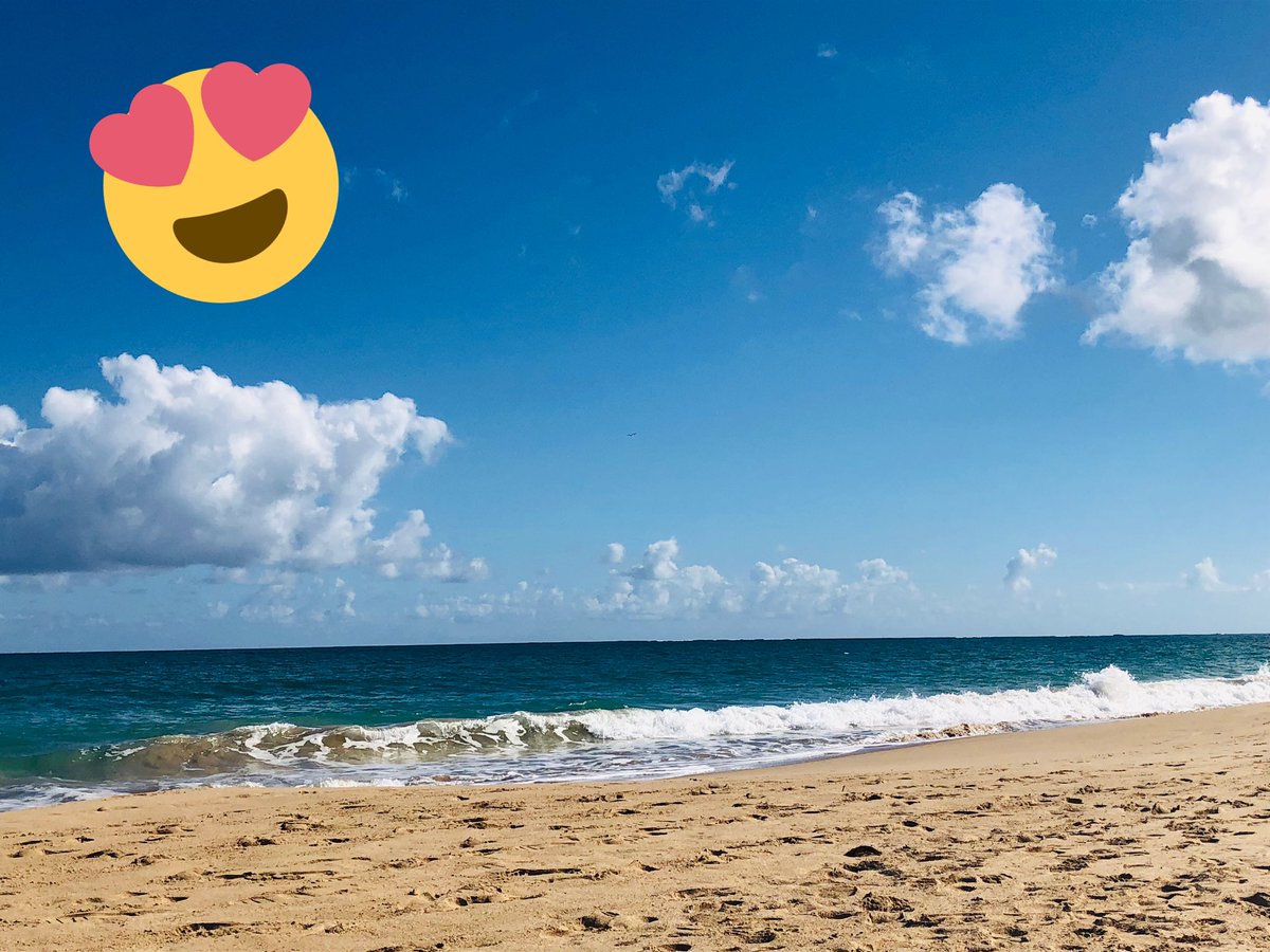 Beach day @PuertoRicoPUR #HomeNow 🌴🌊