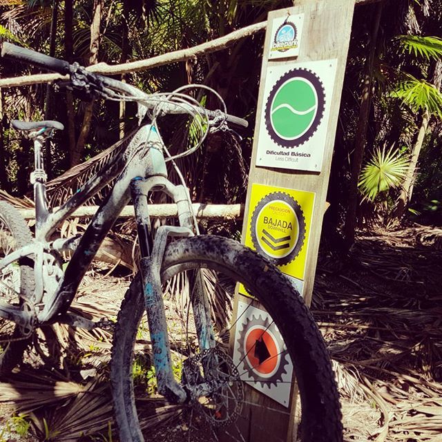BikeschoolMx's tweet photo. Gracias Punta Venado Bike Park!! Increíble experiencia!!
.
.
.
#bikeschool #puntavenadobikepark #bikepark #mtbmexico #rivieramaya #quintanaroo #visitmexico #mexico #mexicocycling #mtblife #mtblove #mtbpark #puntavenado #yetibikes #foxschocks #maxxis https://t.co/LvJr0nJNi7