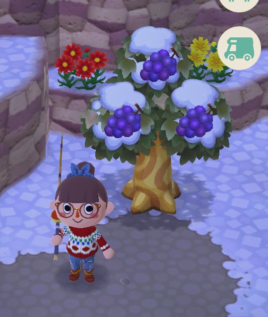 ほっぺ ポケ森 Hoppenomori Twitter ほっぺ ポケ森 Hoppenomori Twitter