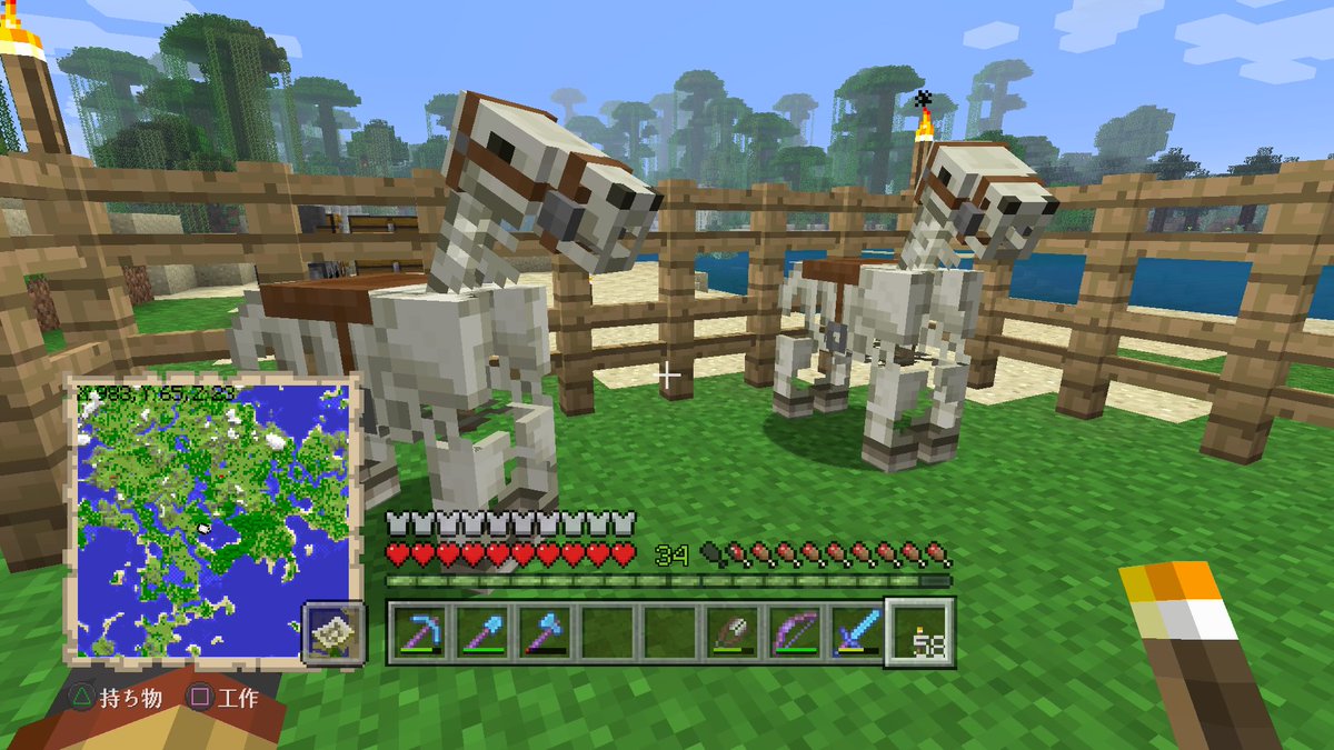 久遠 マインクラフター スケルトンホースを入手 あやまって二頭倒しちゃった マイクラ Minecraft Ps4share 久遠 マインクラフター スケルトンホースを入手 あやまって二頭倒しちゃった マイクラ Minecraft Ps4share