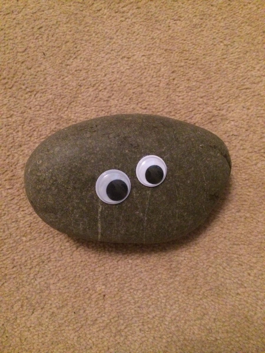 JJColliver's tweet photo. Beat writer's block with Neuroscience: If you change up your environment or routine it can inspire new thoughts. Googly eyes change your perspective and objects now judge you if you aren't writing #writingtips #amwriting #WritingCommunity #writinghack https://t.co/RGofCqQG8g
