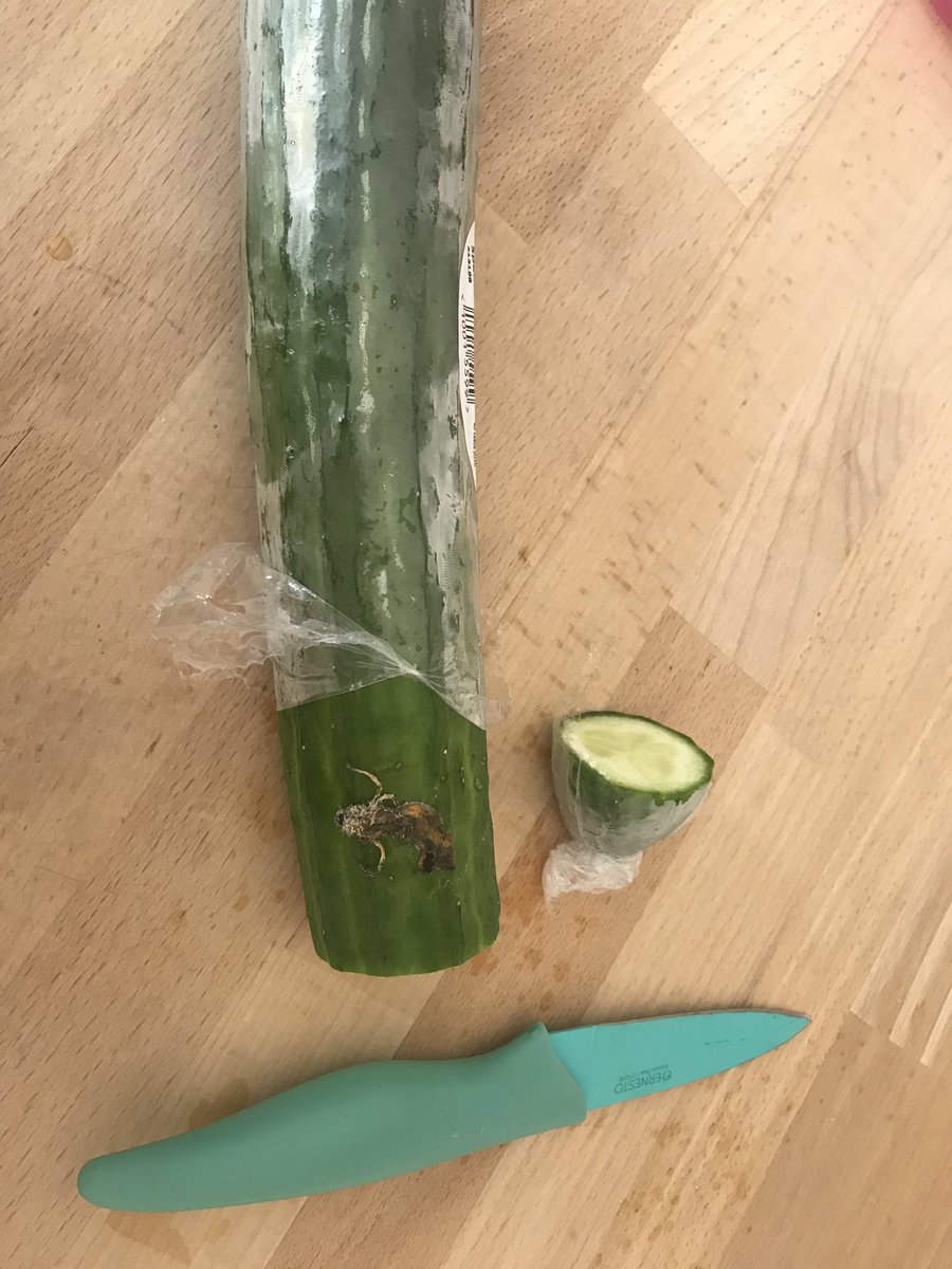 XeizusX's tweet photo. Just opened a brand new cucumber from @Tesco @TescoNewMalden and found this insect dead inside the wrapper, god knows if it’s laid any eggs, what even is it!! #dangerous #disgusting #whochecksthisfood #whowashedthisfood #pesticides https://t.co/559Jz1059Z