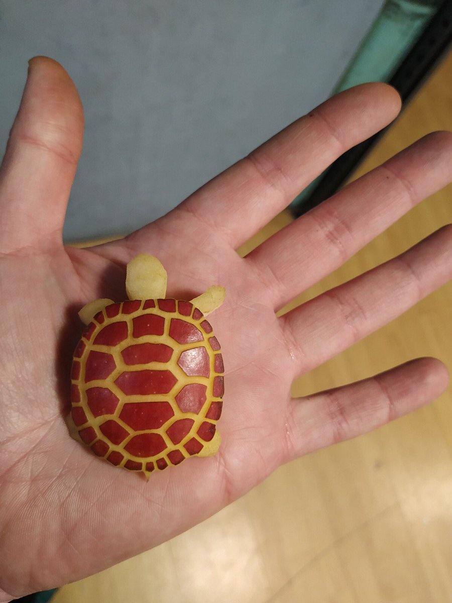 Cocuus_'s tweet image. Se han colado unas tortuguitas de manzana en el stand de @Cocuus_info y @omsyvinas !! Qué animales más curiosos. Podéis verlos en @madridfusion  #foodporn #sanferfood #sodena #innovation @grogoscom artista creativo donde los haya