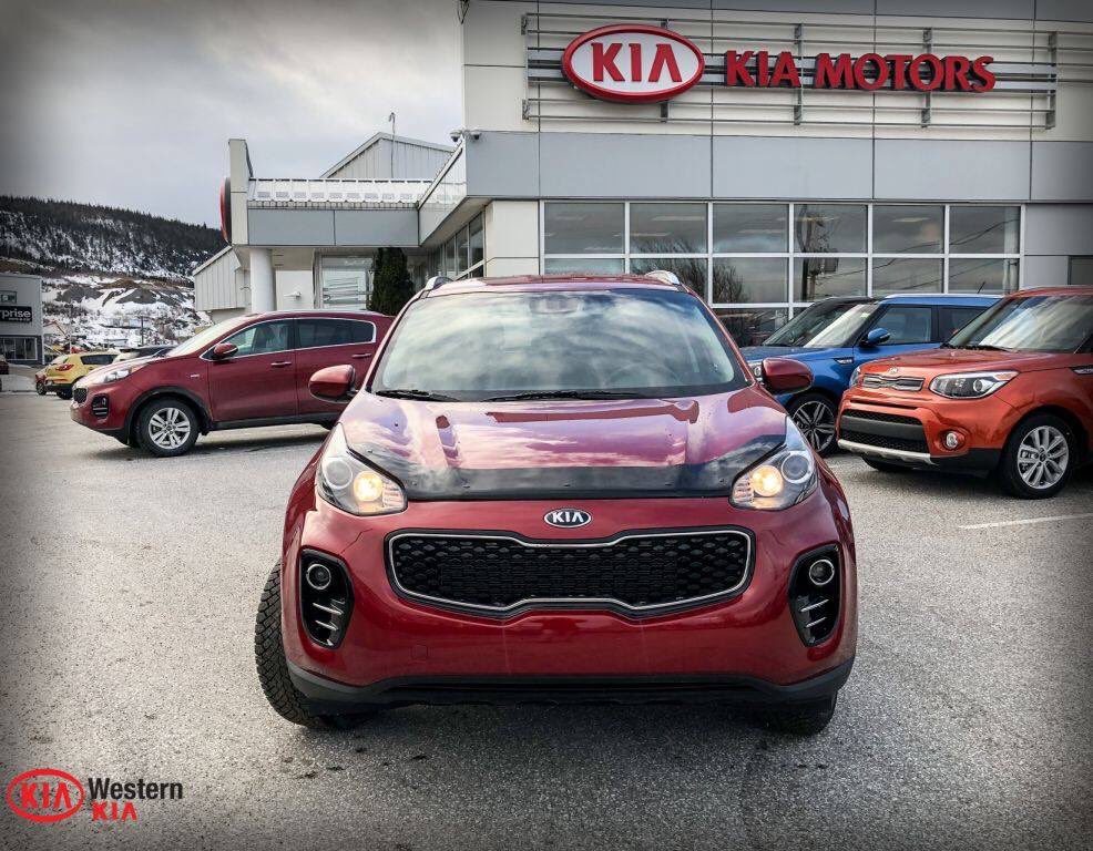 Western Kia tweet media