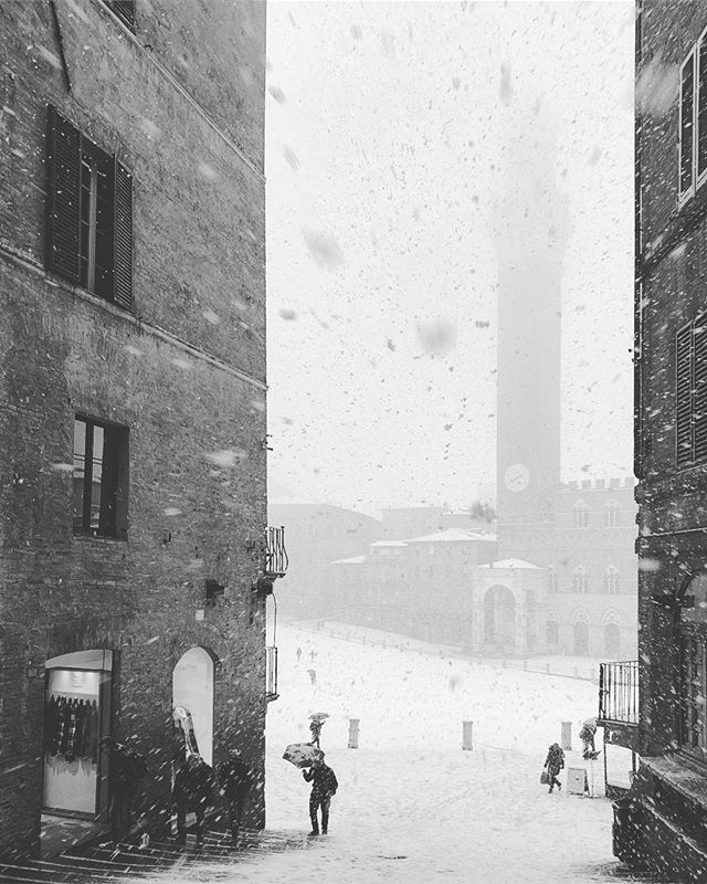 La magia della neve.
.
.
.
.
.
#igersitalia #igerstoscana #guardiantravelsnaps #igerssiena #siena #italia #italy #ilikeitaly #toscana #visittuscany #instatuscany #discovertuscany #travellingthroughtheworld #beautifuldestinations #earth_shotz bit.ly/2FVcO8t