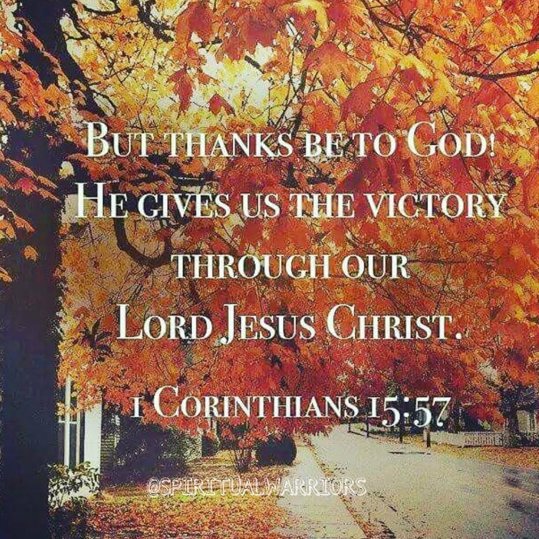 Christwarriors5's tweet photo. But thanks be to God! He gives us the victory through our Lord Jesus Christ.
1 Corinthians 15:57

#christianity #god #jesus #christian #faith #jesuschrist #bible #love #christ #bibleverse https://t.co/xS2U21kr2g