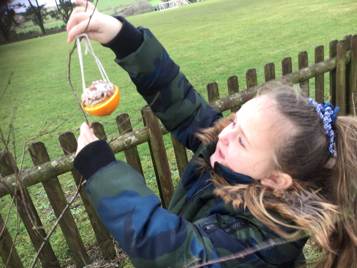 Today we had great fun making bird feeders ready for our #Bigschoolbirdwatch next week. @BBCSpringwatch which birds do you think we are most likely to see? We are in rural Cornwall. We can't wait to watch #Winterwatch tomorrow!