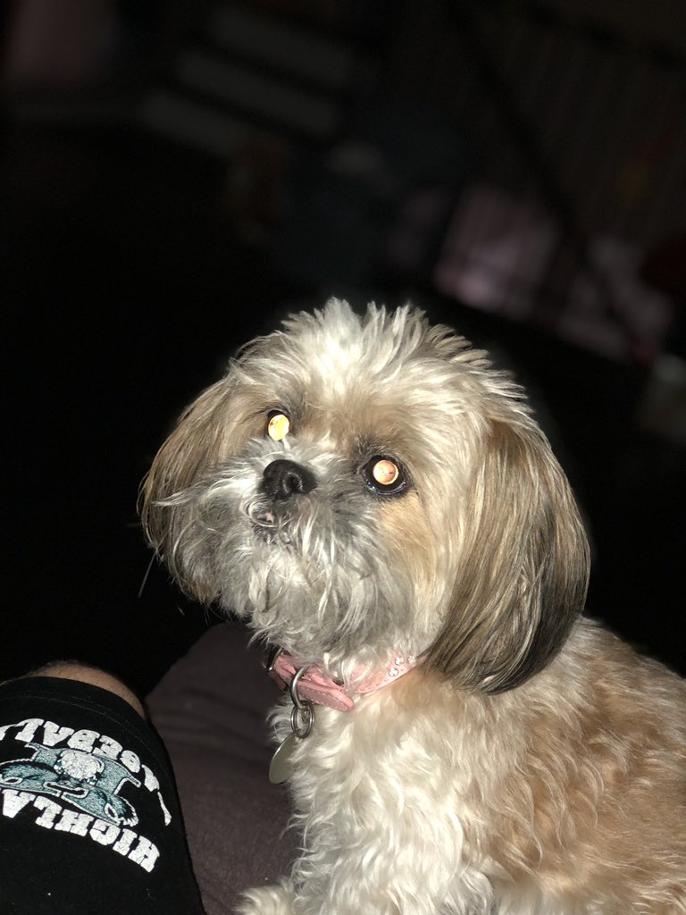 aaroncopas2's tweet image. i would never wish this pain upon anyone. It’s not goodbye my little princess, it’s see you later. i’ll love you forever Kisses. 💕❤️👼🏽