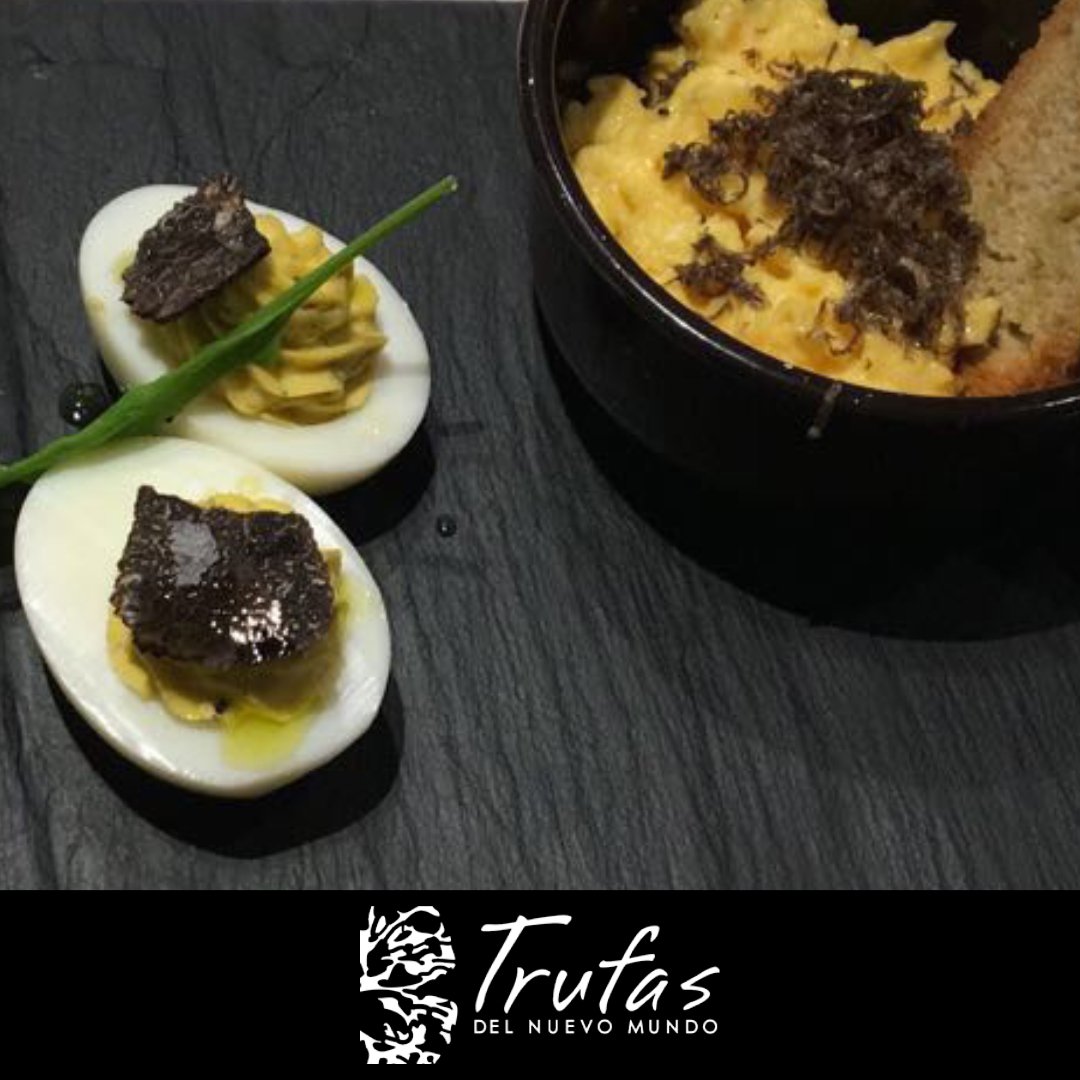 @juliettecafedeli y todo con trufa! Algunas de los platos que probamos durante nuestra temporada de cosecha de junio a fines de agosto. Ya nos falta menos para volver a disfrutar de la #trufanegra de #Espartillar.