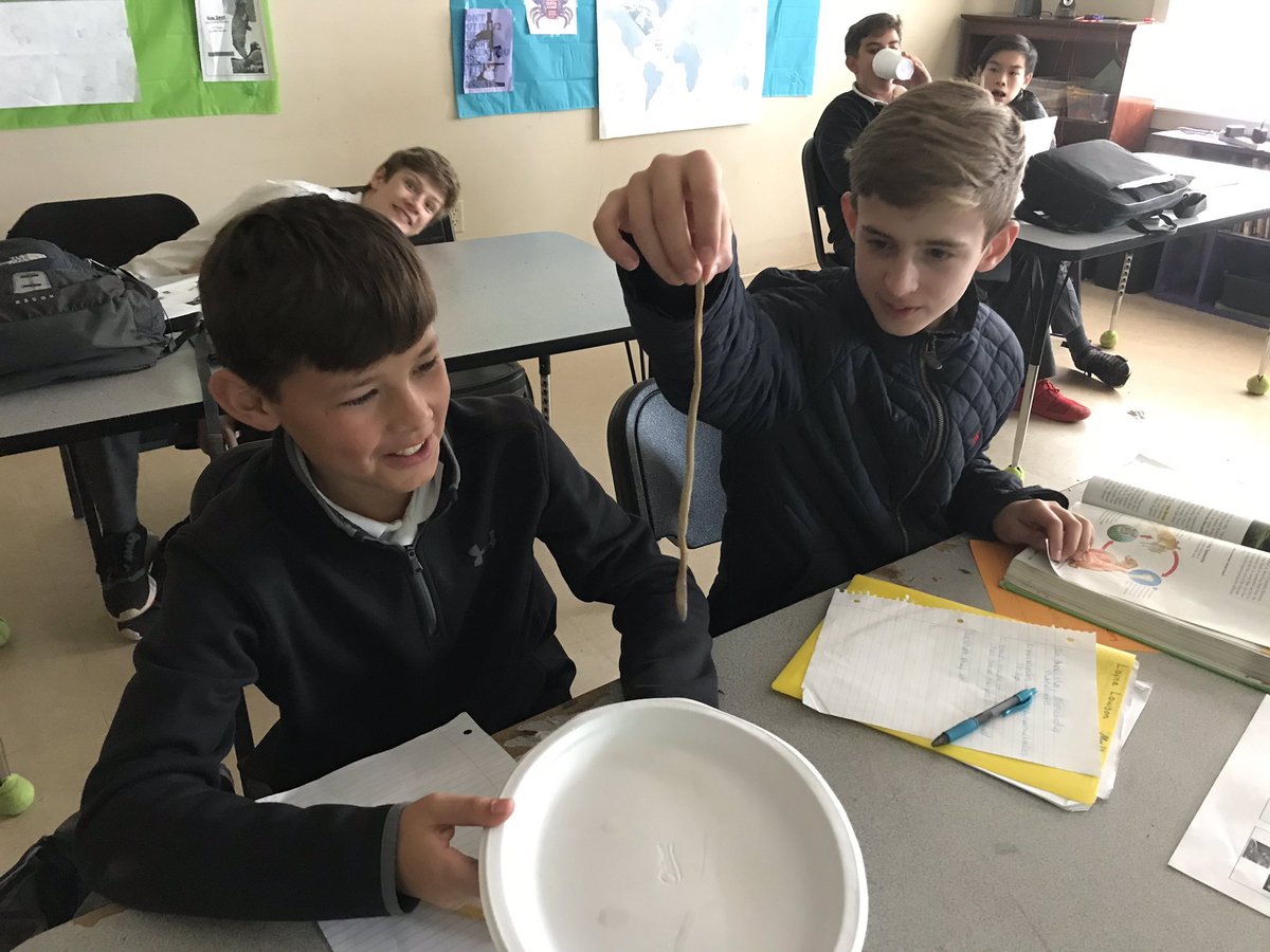 kperez919's tweet photo. 7th graders are learning about worm phyla and looked at an Annelid specimen today. #scienceclass #worms @SLWildcats https://t.co/o0q5tQQCcJ