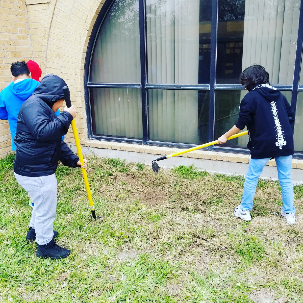 Our Mighty Eagles were breaking ground on our future flower garden this morning! They are learning so much about gardening and taking care of our environment.  #HCISDproud #SHMightyEagles