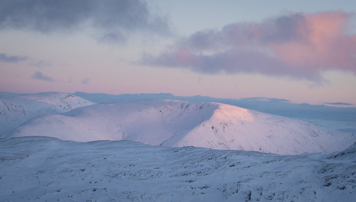 Afternoon job cancelled, so it was either go for a wander or do my tax return...