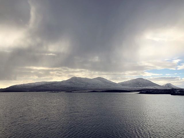 WildUists tweet media