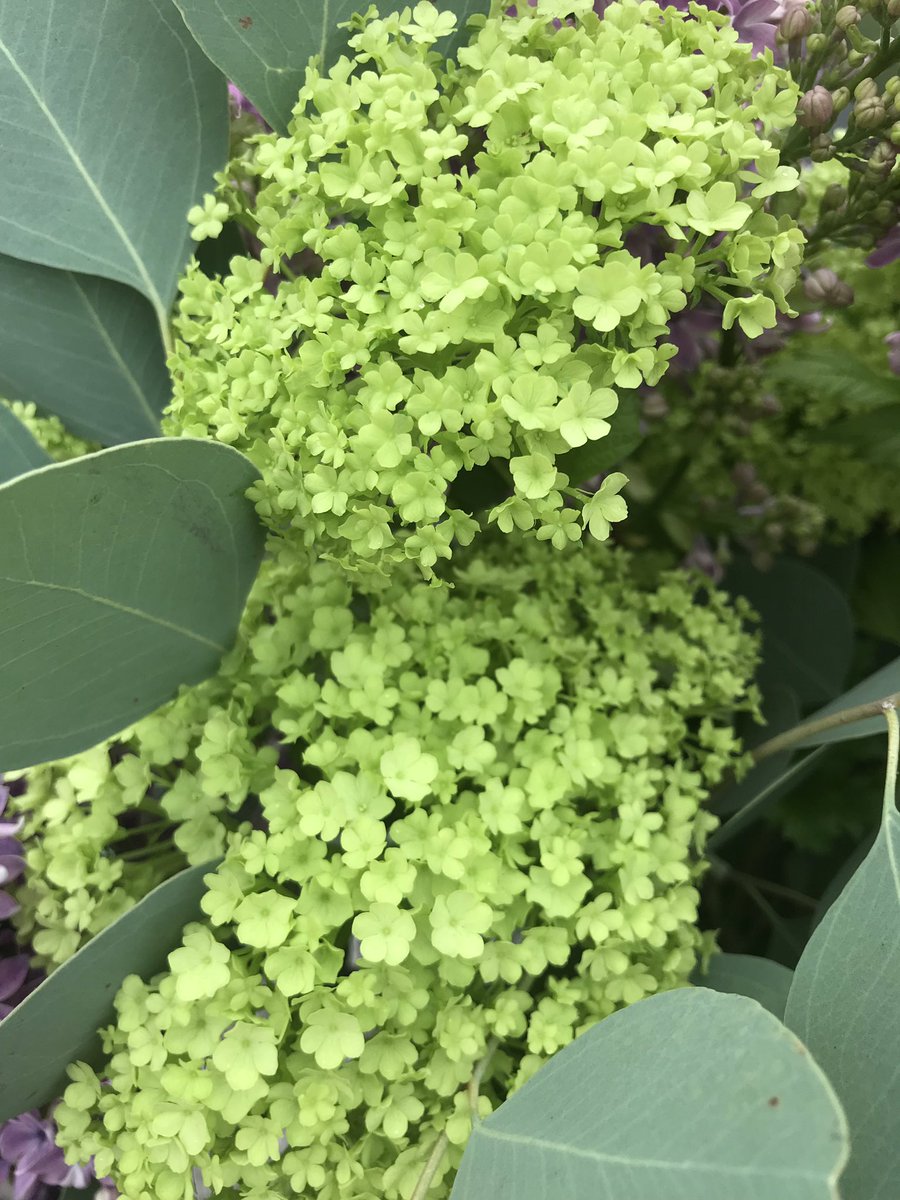 Met de groeten uit Kudelstaart / Aalsmeer ! Ergens in Nederland Bloemenland ! Een vertrouwde bos bloemen elke winter weer op een bijzondere dag !