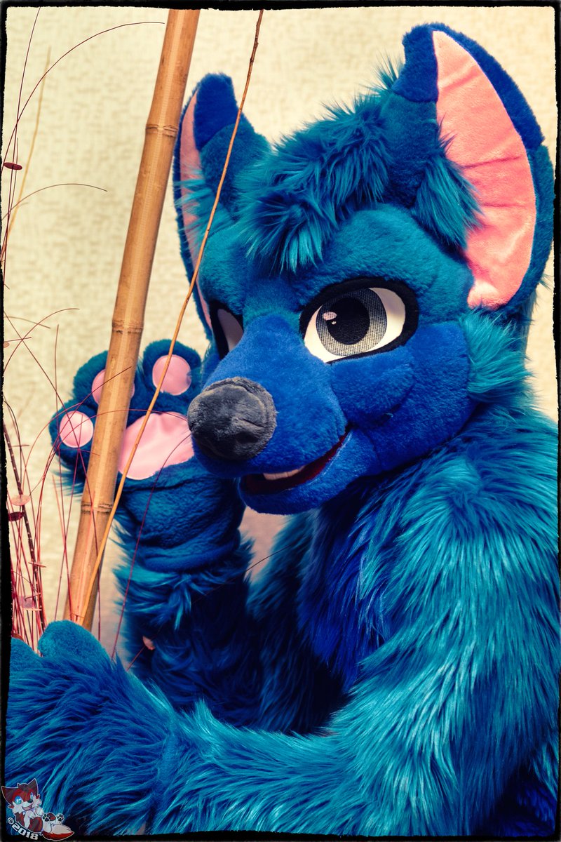 Today's colour is blueberry! 💙
Suiter: <a href="/SyberXenon/">Flexible Blue Dog</a> 
Suit by: <a href="/lemonbrat/">Lemonbrat@BLFC! 🌈🍋💛</a> 
Con: MFF2017