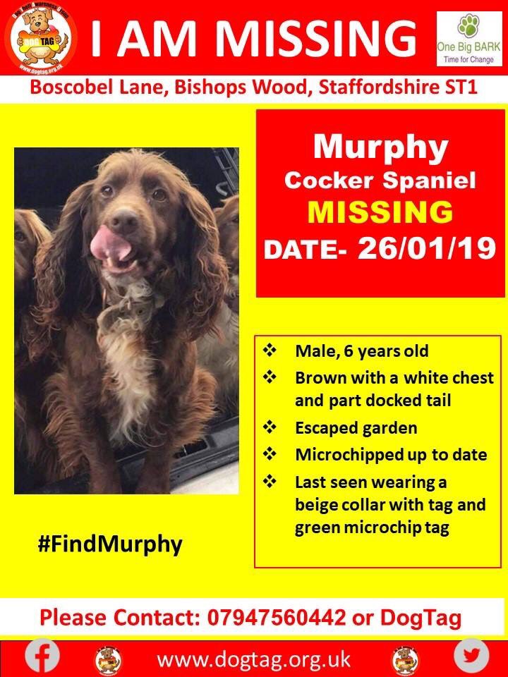 #FindMurphy #missing @DogTAGMids  pls RT