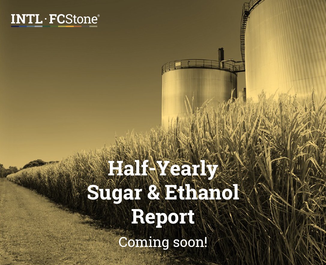 @fcstonedobrasil's #Sugar and #Ethanol Half-Yearly Report is coming soon! DM me and request a free trial of our Sugar and Ethanol subscription to read it as soon as it’s available on INTL FCStone’s Market Intel portal. 

Check it out: goo.gl/gsrSKM

#sugarcane #oatt